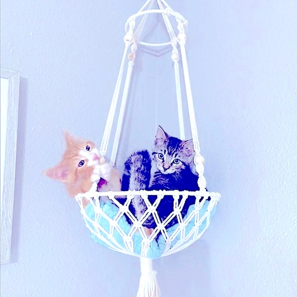 Hp🐾 🐈‍⬛Uniquely Handcrafted Stylish »-»Bohemian«-« Macramé Artistry Pet Beds🆕